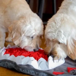 Injoya Shark Snuffle Feeding Mat For Dogs -Mutts And Co-us InjoyaSharkSnuffleFeedingMatForDogs