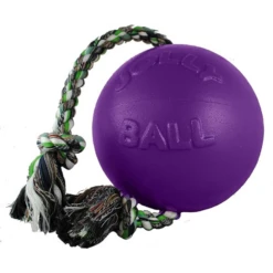 Jolly Pets Romp-N-Roll Purple