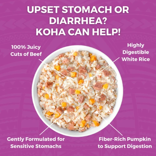 Koha Limited Ingredient Wet Bland Diet Beef & White Rice Recipe For Dogs 12.5 Oz Pouch 5 Koha Limited Ingredient Wet Bland Diet Beef & White Rice Recipe For Dogs 12.5 Oz Pouch - Image 3