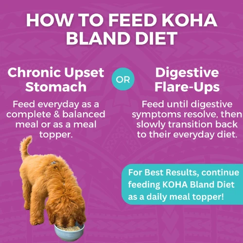 Koha Limited Ingredient Wet Bland Diet Beef & White Rice Recipe For Dogs 12.5 Oz Pouch 6 Koha Limited Ingredient Wet Bland Diet Beef & White Rice Recipe For Dogs 12.5 Oz Pouch - Image 4