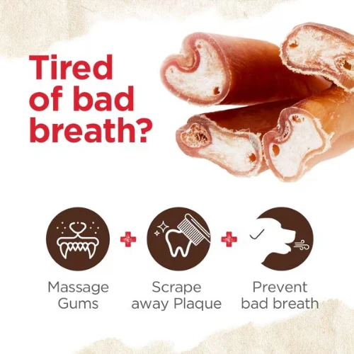 Natural Farm Odor Free Jumbo Bully Stick 12" 6 Natural Farm Odor Free Jumbo Bully Stick 12" - Image 4