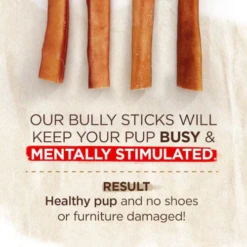 Natural Farm Odor Free Jumbo Bully Stick 12" 8 Natural Farm Odor Free Jumbo Bully Stick 12" -Mutts And Co-us NaturalFarmOdorFreeJumboBullyStick123
