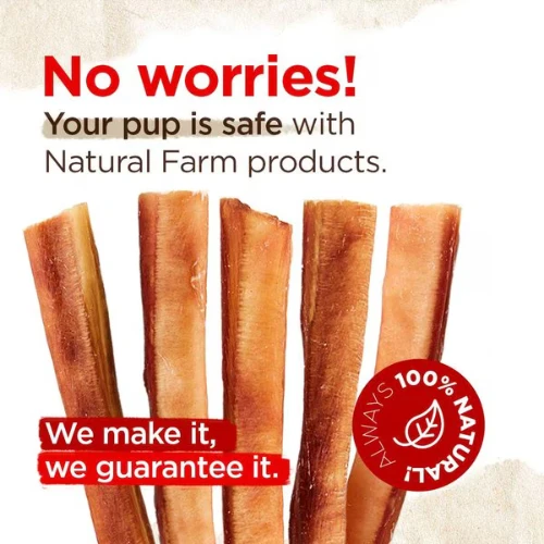 Natural Farm Odor Free Jumbo Bully Stick 12" 4 Natural Farm Odor Free Jumbo Bully Stick 12" - Image 2