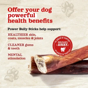 Natural Farm Power Bully Stick 12" 6 Natural Farm Power Bully Stick 12" - Image 4