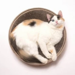 Necoichi Cozy Cat Scratcher Bowl, Oak 10 Necoichi Cozy Cat Scratcher Bowl, Oak -Mutts And Co-us NecoichiCozyCatScratcherBowl 3