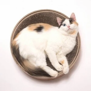 Necoichi Cozy Cat Scratcher Bowl, Oak 6 Necoichi Cozy Cat Scratcher Bowl, Oak - Image 4
