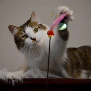 Necoichi Crinkly Critters Fluttery Fish Adjustable Cat Wand 7 Necoichi Crinkly Critters Fluttery Fish Adjustable Cat Wand - Image 5