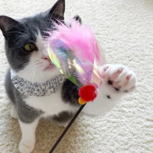 Necoichi Crinkly Critters Fluttery Fish Adjustable Cat Wand 6 Necoichi Crinkly Critters Fluttery Fish Adjustable Cat Wand - Image 4