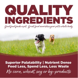 NutriSource Adult Beef & Rice Formula Dry Dog Food 7 NutriSource Adult Beef & Rice Formula Dry Dog Food - Image 5