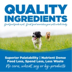 NutriSource Large Breed Adult Chicken & Rice Formula Dry Dog Food -Mutts And Co-us NutriSourceLargeBreedAdultChicken RiceFormulaDryDogFood NEW 4