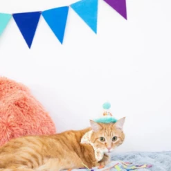 Pearhead Happy Purrday Cat Hat And Bowtie Set 12 Pearhead Happy Purrday Cat Hat And Bowtie Set -Mutts And Co-us PearheadHappyPurrdayCatHatandBowtieSet 3