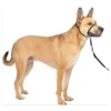 PetSafe Premier Gentle Leader Quick Release Dog Headcollar 1 PetSafe Premier Gentle Leader Quick Release Dog Headcollar -Mutts And Co-us PetSafePremierGentleLeaderQuickReleaseDogHeadcollar 5