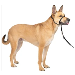 PetSafe Premier Gentle Leader Quick Release Dog Headcollar