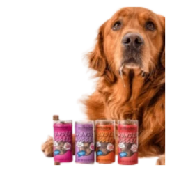 Polka Dog Mini Tube Wonder Nuggets Apple & Pork Soft & Chewy Dog Treats 2.5oz -Mutts And Co-us PolkaDogMiniTubeWonderNuggetsSoft ChewyDogTreats2.5oz 42bcd73d 2c88 4d92 9dcd db711d39ef22
