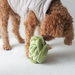 Pups & Bubs Cabbage Enrichment Nose-Work Toy 7 Pups & Bubs Cabbage Enrichment Nose-Work Toy -Mutts And Co-us Pups BubsCabbageEnrichmentNose WorkToy3