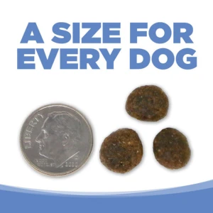 PureVita Grain-Free Turkey & Sweet Potato Dry Dog Food 8 PureVita Grain-Free Turkey & Sweet Potato Dry Dog Food - Image 6