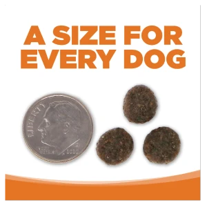 PureVita Grain-Free Venison & Red Lentil Dry Dog Food 8 PureVita Grain-Free Venison & Red Lentil Dry Dog Food - Image 6