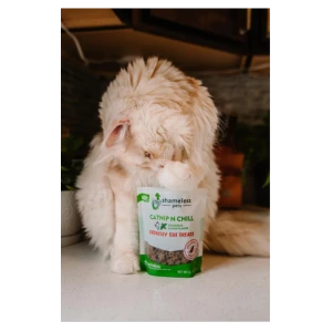 Shameless Pets Crunchy Catnip N Chill Cat Treats, 2.5oz 11 Shameless Pets Crunchy Catnip N Chill Cat Treats, 2.5oz - Image 9