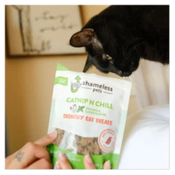 Shameless Pets Crunchy Catnip N Chill Cat Treats, 2.5oz 18 Shameless Pets Crunchy Catnip N Chill Cat Treats, 2.5oz -Mutts And Co-us ShamelessPetsCrunchyCatnipNChillCatTreats 2.5oz 1