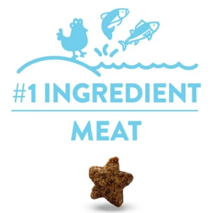 Shameless Pets Crunchy Catnip N Chill Cat Treats, 2.5oz 8 Shameless Pets Crunchy Catnip N Chill Cat Treats, 2.5oz - Image 6