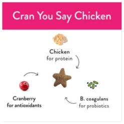 Shameless Pets Crunchy Cran You Say Chicken Cat Treats, 2.5oz 11 Shameless Pets Crunchy Cran You Say Chicken Cat Treats, 2.5oz -Mutts And Co-us ShamelessPetsCrunchyCranYouSayChickenCatTreats 2.5oz