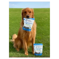 Shameless Pets Soft-Baked Blueberried Treasure Biscuits For Dogs, 6oz -Mutts And Co-us ShamelessPetsSoft BakedBlueberriedTreasureBiscuitsforDogs 6oz