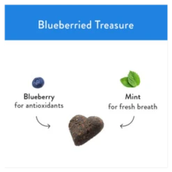 Shameless Pets Soft-Baked Blueberried Treasure Biscuits For Dogs, 6oz -Mutts And Co-us ShamelessPetsSoft BakedBlueberriedTreasureBiscuitsforDogs 6oz 5