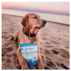 Shameless Pets Soft-Baked Blueberried Treasure Biscuits For Dogs, 6oz -Mutts And Co-us ShamelessPetsSoft BakedBlueberriedTreasureBiscuitsforDogs 6oz 8