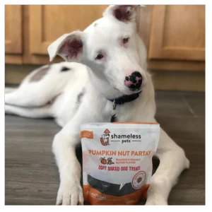 Shameless Pets Soft-Baked Pumpkin Nut Par-Tay Biscuits For Dogs, 6oz 9 Shameless Pets Soft-Baked Pumpkin Nut Par-Tay Biscuits For Dogs, 6oz - Image 7