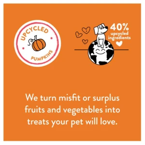 Shameless Pets Soft-Baked Pumpkin Nut Par-Tay Biscuits For Dogs, 6oz 8 Shameless Pets Soft-Baked Pumpkin Nut Par-Tay Biscuits For Dogs, 6oz - Image 6