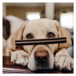 Shameless Pets The Tooth Berry Dental Sticks For Dogs, 7.2oz -Mutts And Co-us ShamelessPetsTheToothBerryDentalSticksforDogs 7.2oz