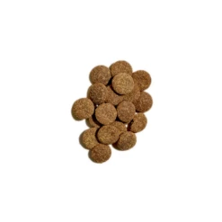 Open Farm Better Biscuits Dog Treats Turkey & Oatmeal 8 Oz 8 Open Farm Better Biscuits Dog Treats Turkey & Oatmeal 8 Oz -Mutts And Co-us SizeBackOpenFarmBetterBiscuitsDogTreatsTurkey Oatmeal8oz