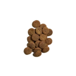 Open Farm Better Biscuits Dog Treats Salmon & Oatmeal 8 Oz -Mutts And Co-us SizeOpenFarmBetterBiscuitsDogTreatsSalmon Oatmeal8oz