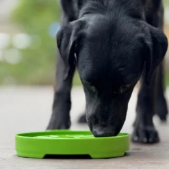 SodaPup Enriching Slow Feeder Garden Design Etray For Dogs Apple Green -Mutts And Co-us SodaPupEnrichingSlowFeederGardenDesignEtrayforDogsAppleGreen4