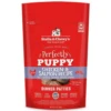 Stella & Chewy's Perfectly Puppy Chicken & Salmon Dinner Patties Freeze-Dried Raw Dog Food