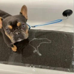 Tall Tails Dog Bath Leash 9 Tall Tails Dog Bath Leash -Mutts And Co-us TallTailsDogBathLeash