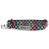 The Worthy Dog Carnival Check Cat Collar -Mutts And Co-us TheWorthyDogCarnivalCheckCatCollar