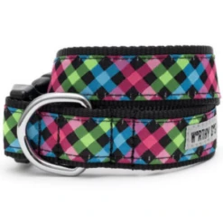 The Worthy Dog Carnival Check Dog Collar