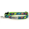The Worthy Dog Dino Cat Collar -Mutts And Co-us TheWorthyDogDinoCatCollar