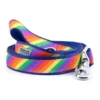 The Worthy Dog Rainbow Dog Lead 1 The Worthy Dog Rainbow Dog Lead -Mutts And Co-us TheWorthyDogRainbowDogLead