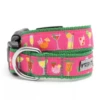 The Worthy Dog Summer Cheer Dog Collar 1 The Worthy Dog Summer Cheer Dog Collar -Mutts And Co-us TheWorthyDogSummerCheerDogCollar
