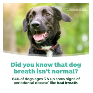 TropiClean Fresh Breath Water Additive For Dogs 33.8oz 9 TropiClean Fresh Breath Water Additive For Dogs 33.8oz - Image 7