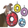 VIP Tuffy's Jr Ring Dog Toy 2 VIP Tuffy's Jr Ring Dog Toy -Mutts And Co-us Tuffys Jr Ring Dog Toy 2T