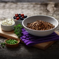 Fussie Cat Market Fresh Duck Meal Recipe Grain-Free Dry Cat Food 6 Fussie Cat Market Fresh Duck Meal Recipe Grain-Free Dry Cat Food -Mutts And Co-us Untitleddesign 2022 01 25T123819.794