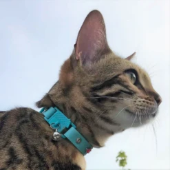 Kittyrama Vet & Cat Expert Approved Cat Collar Aqua 9 Kittyrama Vet & Cat Expert Approved Cat Collar Aqua -Mutts And Co-us Untitleddesign 2022 02 10T141739.957