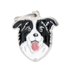 MyFamily Friends Collection Border Collie Tag
