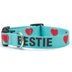 Up Country Bestie Printed Dog Collar