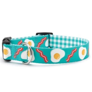 Up Country Brunch Bunch Printed Dog Collar 3 Up Country Brunch Bunch Printed Dog Collar