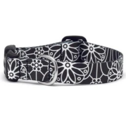 Up Country Mehndi Printed Dog Collar