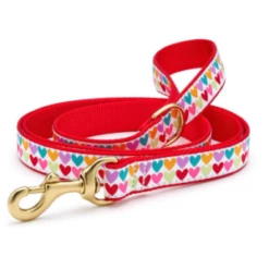 Up Country Pop Hearts Dog Lead